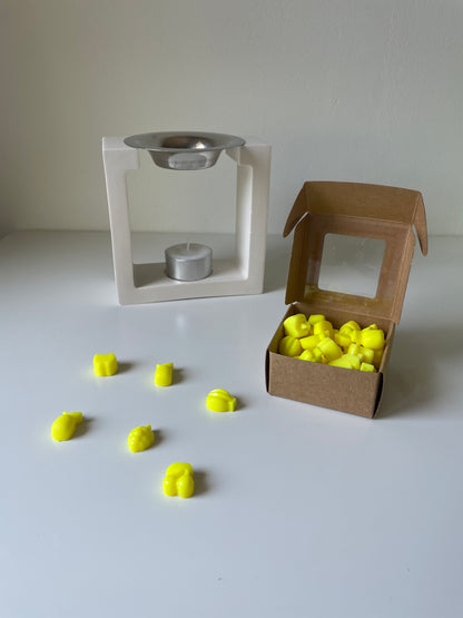 Wax melts fruta de la pasión